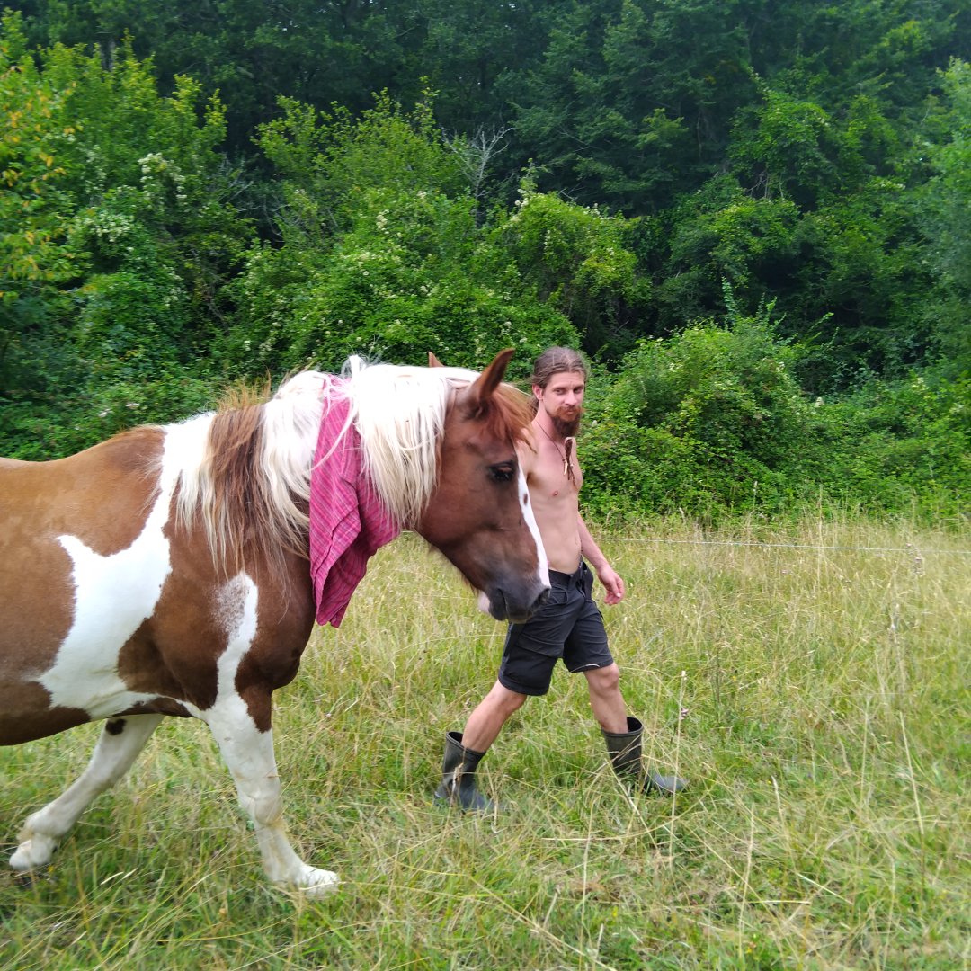 Jeux équestres type pony games