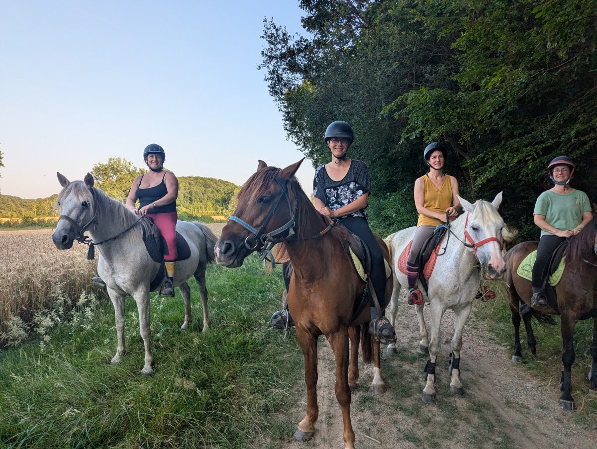 Chevaux de La Halte de d'Artagnan